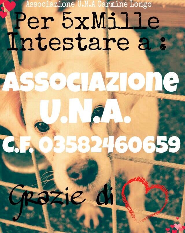 Destina il tuo 5xMille all'AssociazioneUn piccolo gesto che non ti costa nulla, un grande aiuto ai nostri ospiti!
