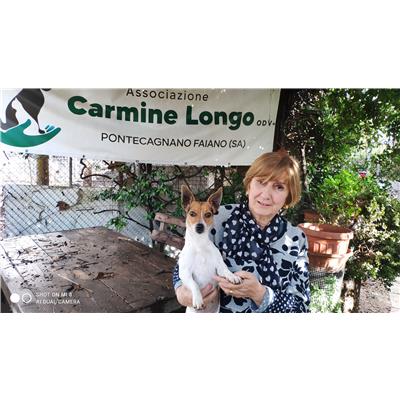 Comune di Pontecagnano Faiano - Cane - Microchip 380260044581048