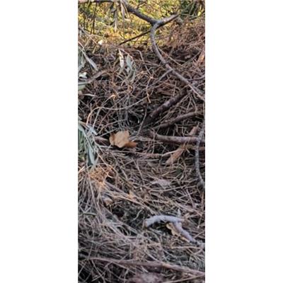 Montecorvino Pugliano - 380260170225610