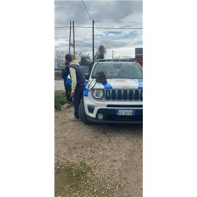Comune di Pontecagnano Faiano - 380260006030248