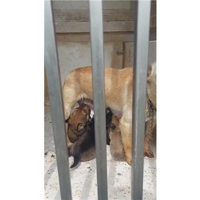 Comune di Pontecagnano Faiano - 380260006030248