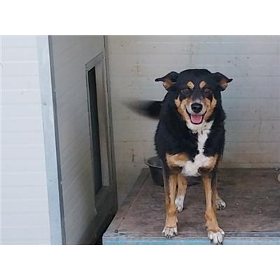 Comune di Pontecagnano Faiano - 380260042463491