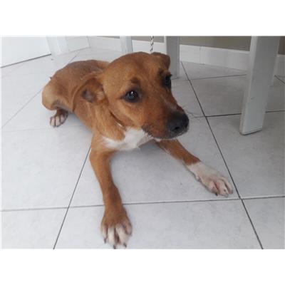 Comune di Pontecagnano Faiano - 380260042999032